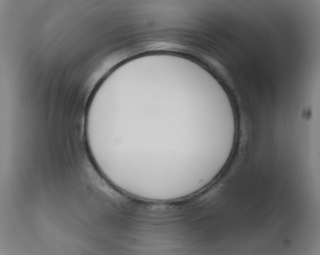 X0000110951322200906191105