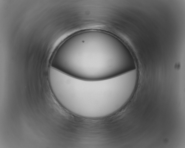 X0000110951324200906191105