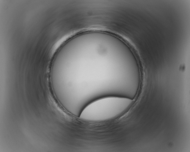 X0000110951325200906191105