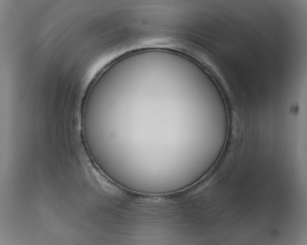 X0000110951328200906191105