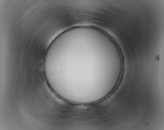 X0000110951329200906191105