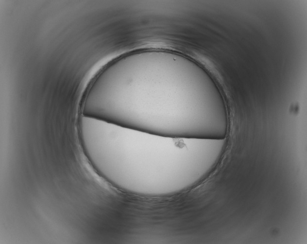 X0000110951331200906191105
