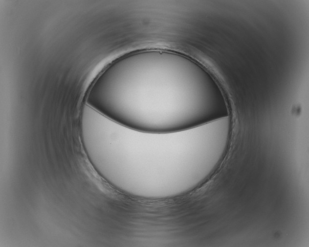 X0000110951332200906191105