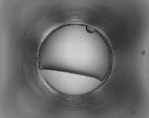 X0000110951333200906191105