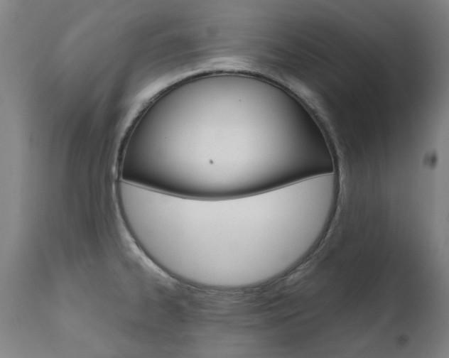 X0000110951334200906191105