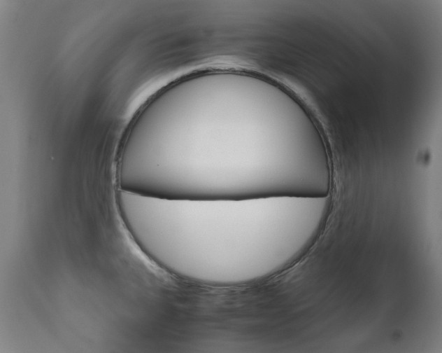 X0000110951335200906191105