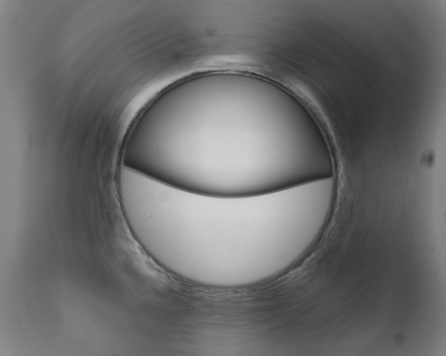 X0000110951336200906191105