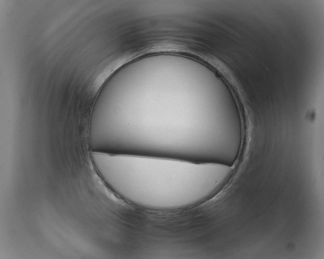 X0000110951337200906191105