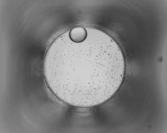 X0000110951338200906191105