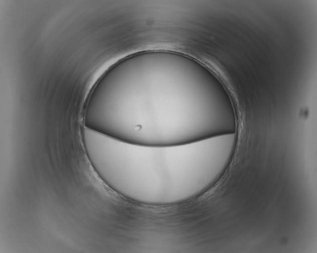 X0000110951340200906191105