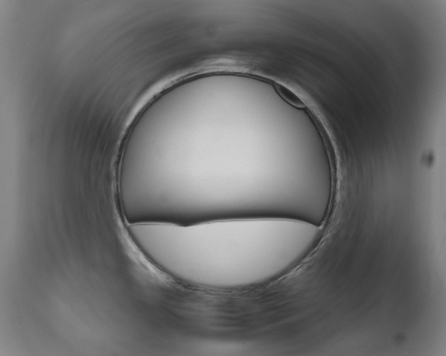 X0000110951341200906191105