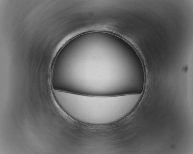 X0000110951342200906191105