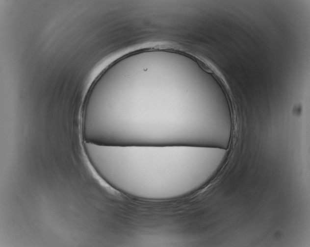 X0000110951343200906191106