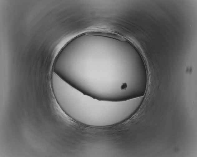 X0000110951344200906191106