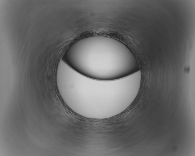 X0000110951345200906191105