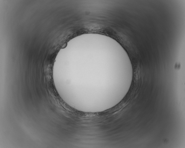 X0000110951346200906191105