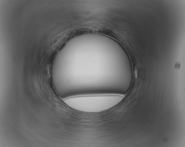 X0000110951347200906191105