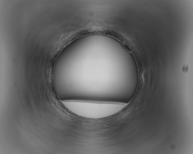 X0000110951348200906191105