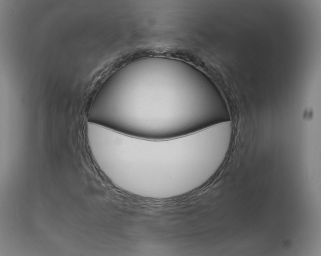X0000110951349200906191105