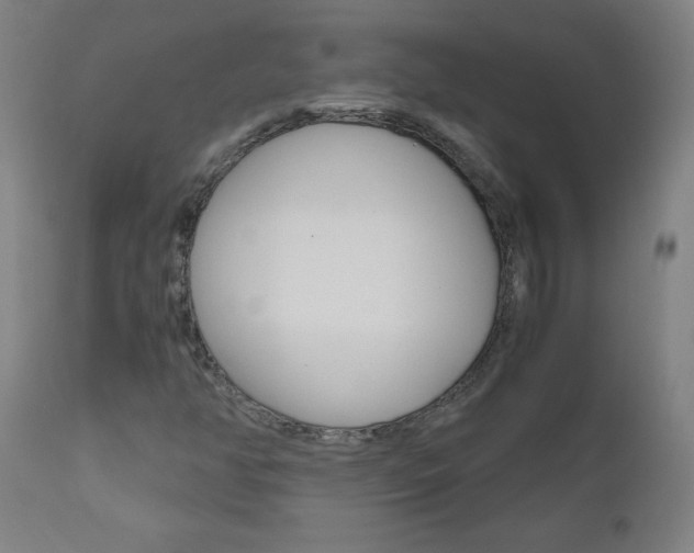 X0000110951350200906191105