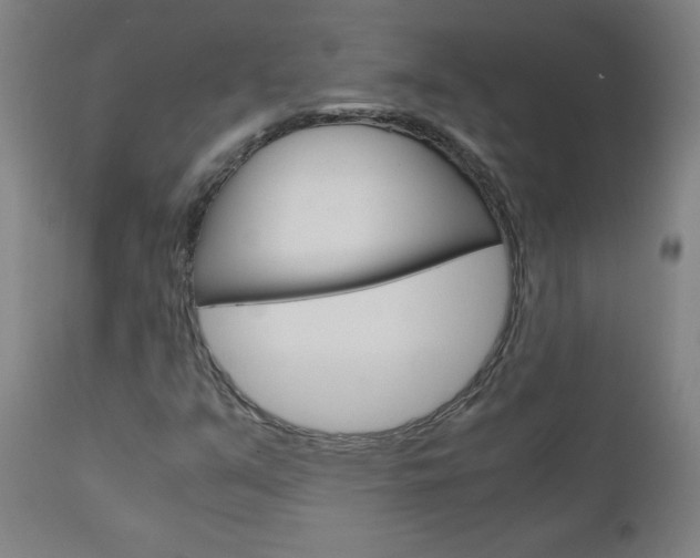 X0000110951351200906191105