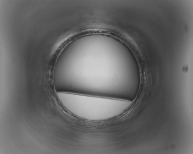 X0000110951352200906191105