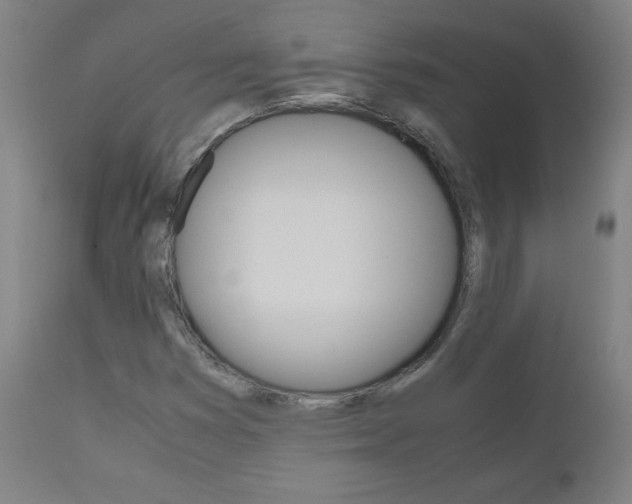 X0000110951353200906191105