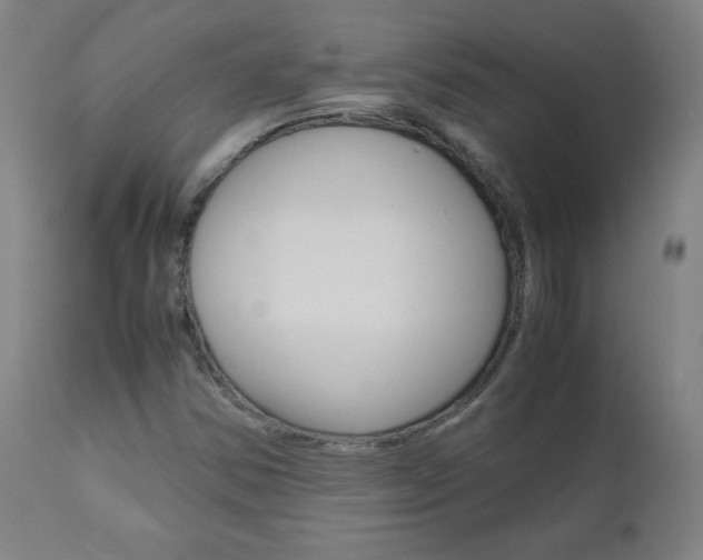 X0000110951354200906191105