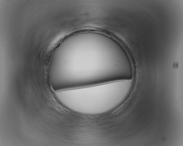 X0000110951355200906191105