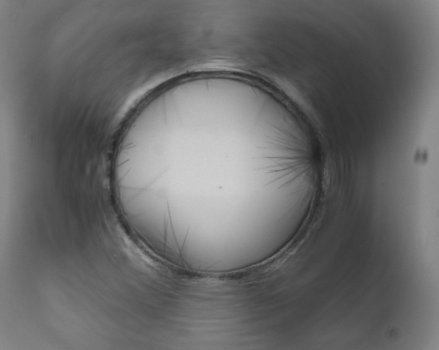 X0000110951356200906191105