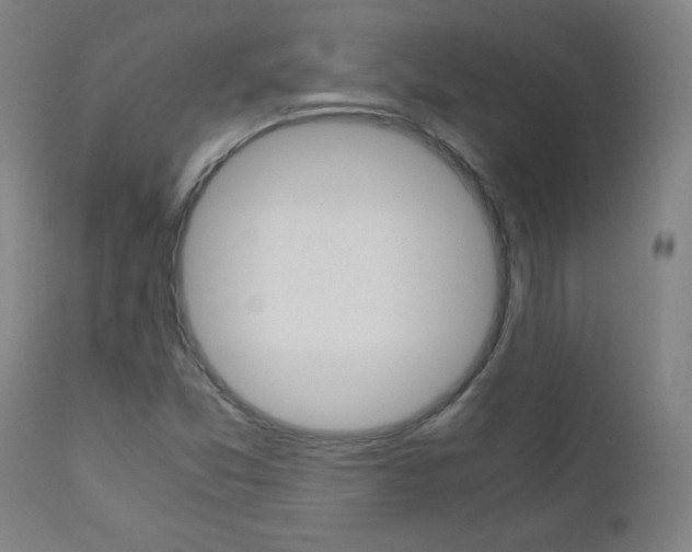 X0000110951357200906191105