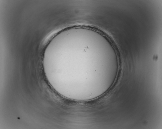 X0000110951359200906191105