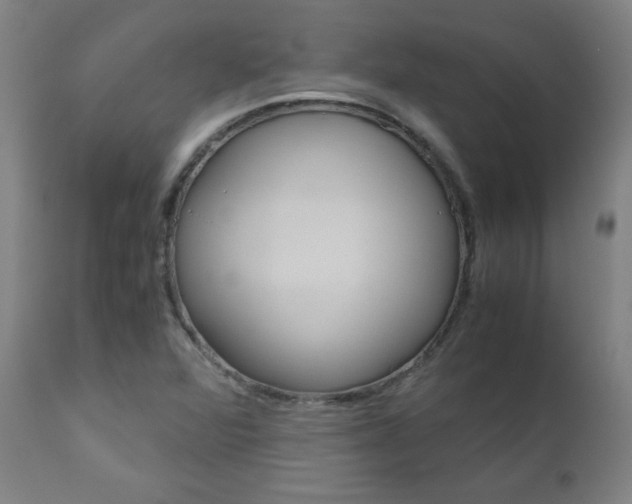X0000110951360200906191105