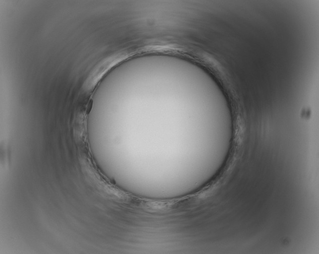 X0000110951361200906191105