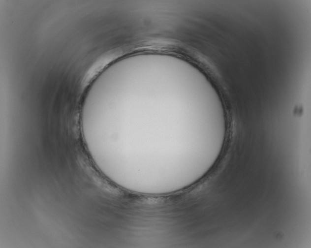 X0000110951362200906191105