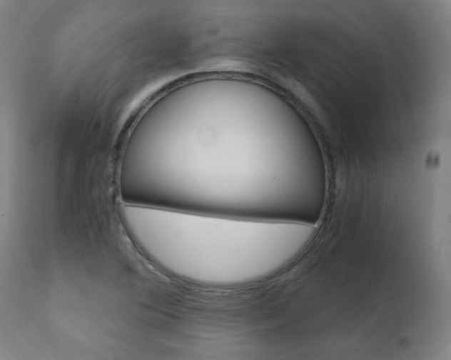 X0000110951364200906191105