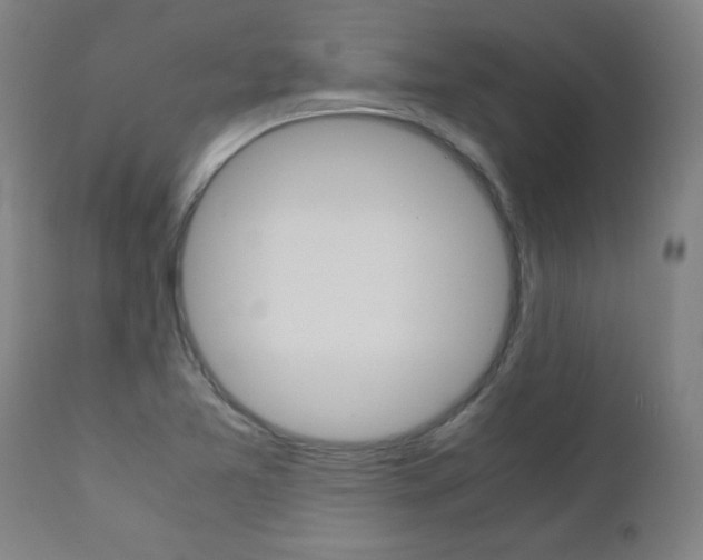 X0000110951365200906191105
