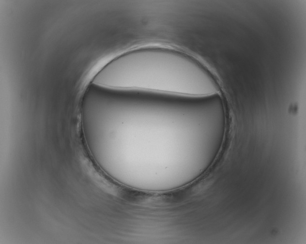 X0000110951367200906191105