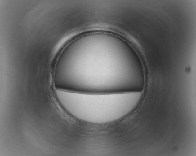 X0000110951368200906191105