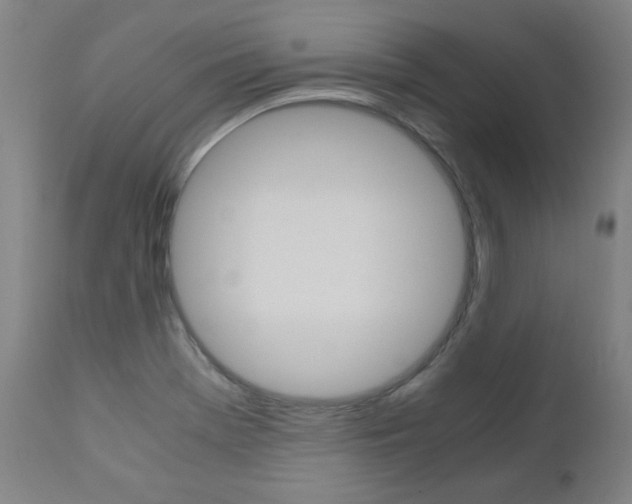 X0000110951369200906191104