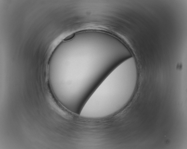 X0000110951371200906191104