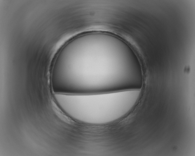 X0000110951372200906191104