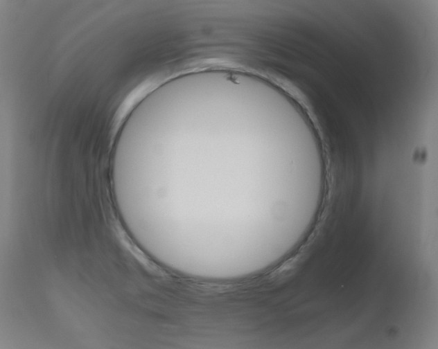 X0000110951373200906191104