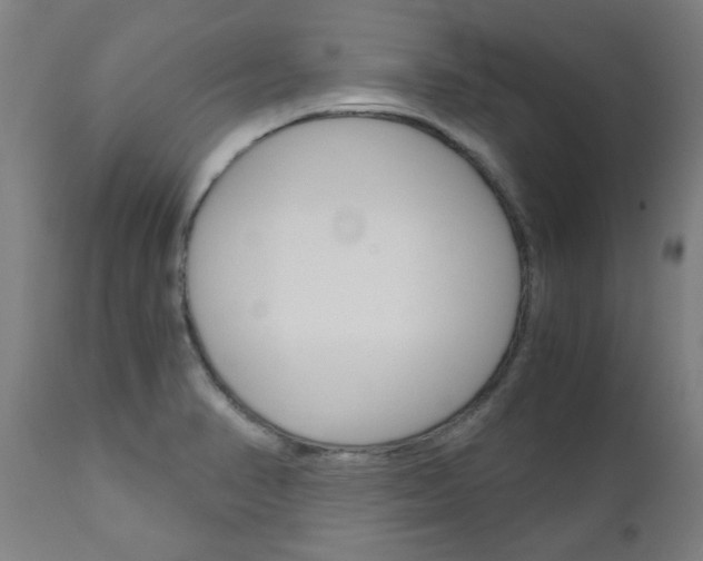 X0000110951374200906191104
