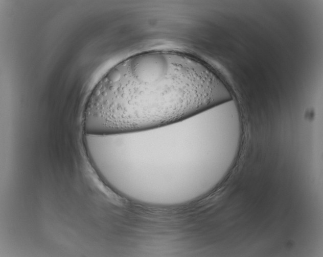 X0000110951375200906191104