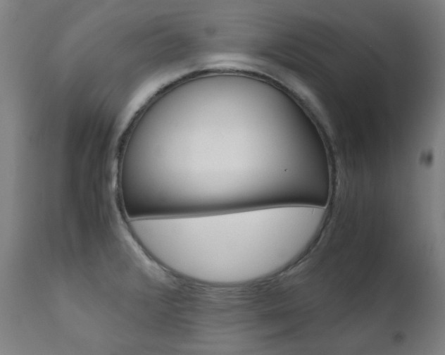 X0000110951376200906191104