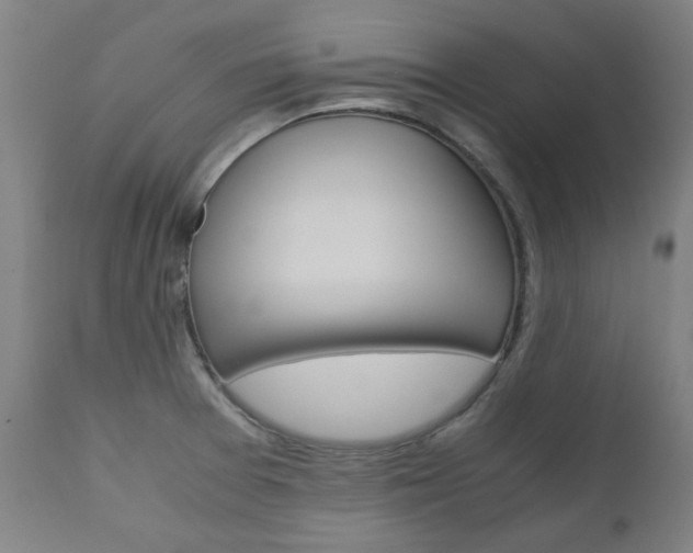 X0000110951377200906191104