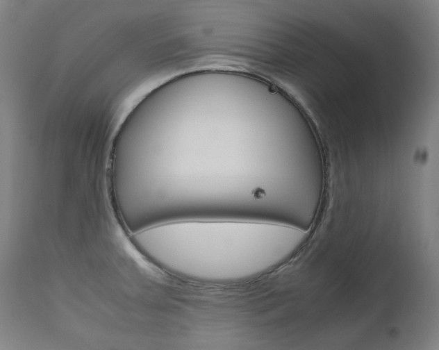 X0000110951379200906191104