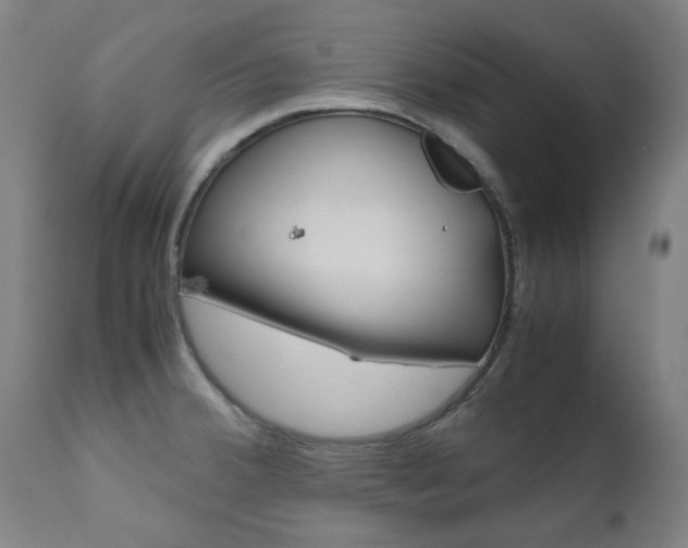 X0000110951380200906191104