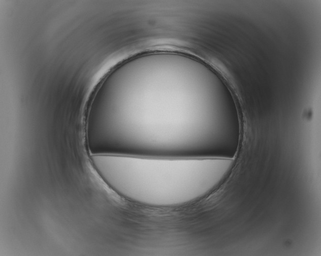 X0000110951384200906191104
